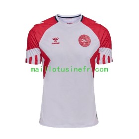 Maillot de Foot Danemark Extérieur 2023